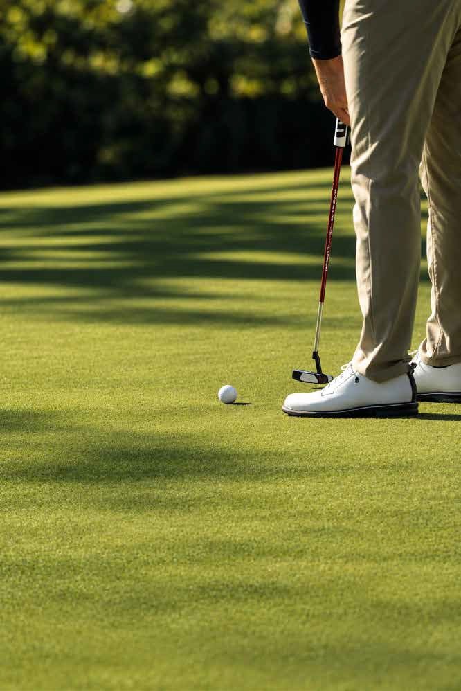 Golf putting area